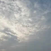 墨斗☪新人筱阳