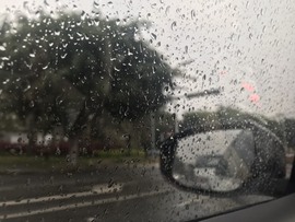 🌻小七（安静唱歌）的图片