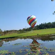 ⭕低头捡钱⭕