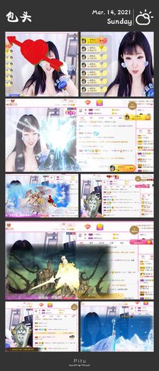 一只雁~的图片