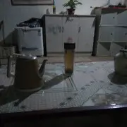陕西鹏哥