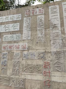 凑美没人爱的图片