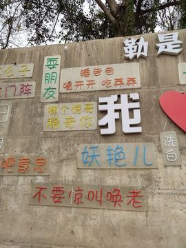 凑美没人爱的图片