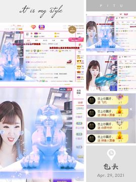 一只雁~的图片