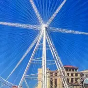 父母在人生尚有来处