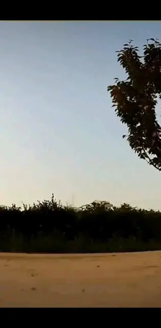 陕西兴平贵妃牡丹园航拍。