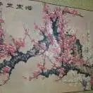 昵称违规，请重新修改