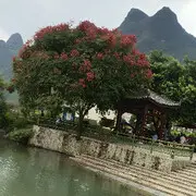 。。娱乐模式。