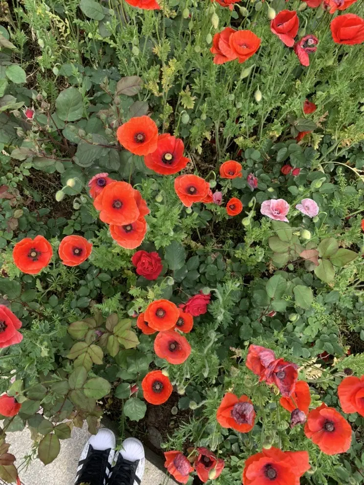 蜜密781888的主播照片