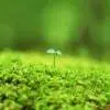 青海振德医药公司