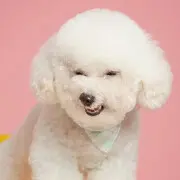 就他妈爱点火