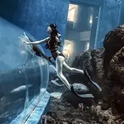元宝是只仙女喵的用户头像