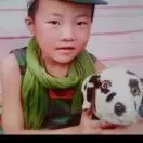 付小强q