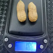 西域情玉缘【和田玉】