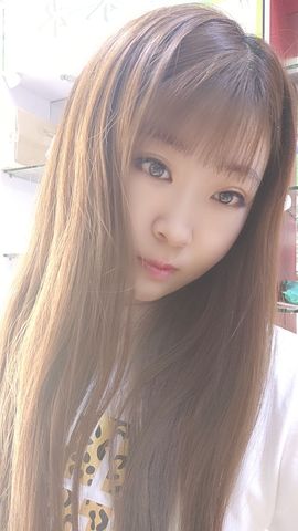 一只雁~的图片