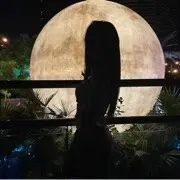 喵大王、🐱