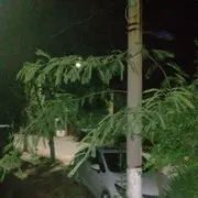 酉门庆看妞