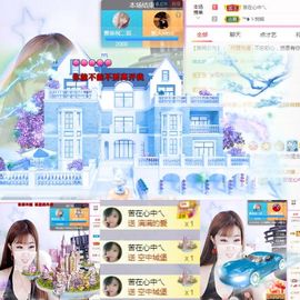 一只雁~的图片