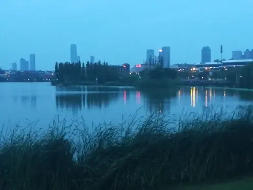 双十一我不在的主播照片