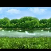 yu💦🌲