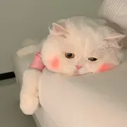 北池侍卫