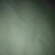 荣霖大师