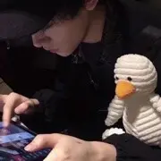 臺灣小黃鴨