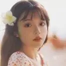 枫酌紫秋