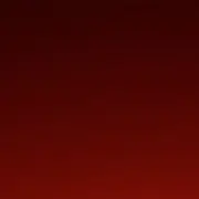 小熊不等伞