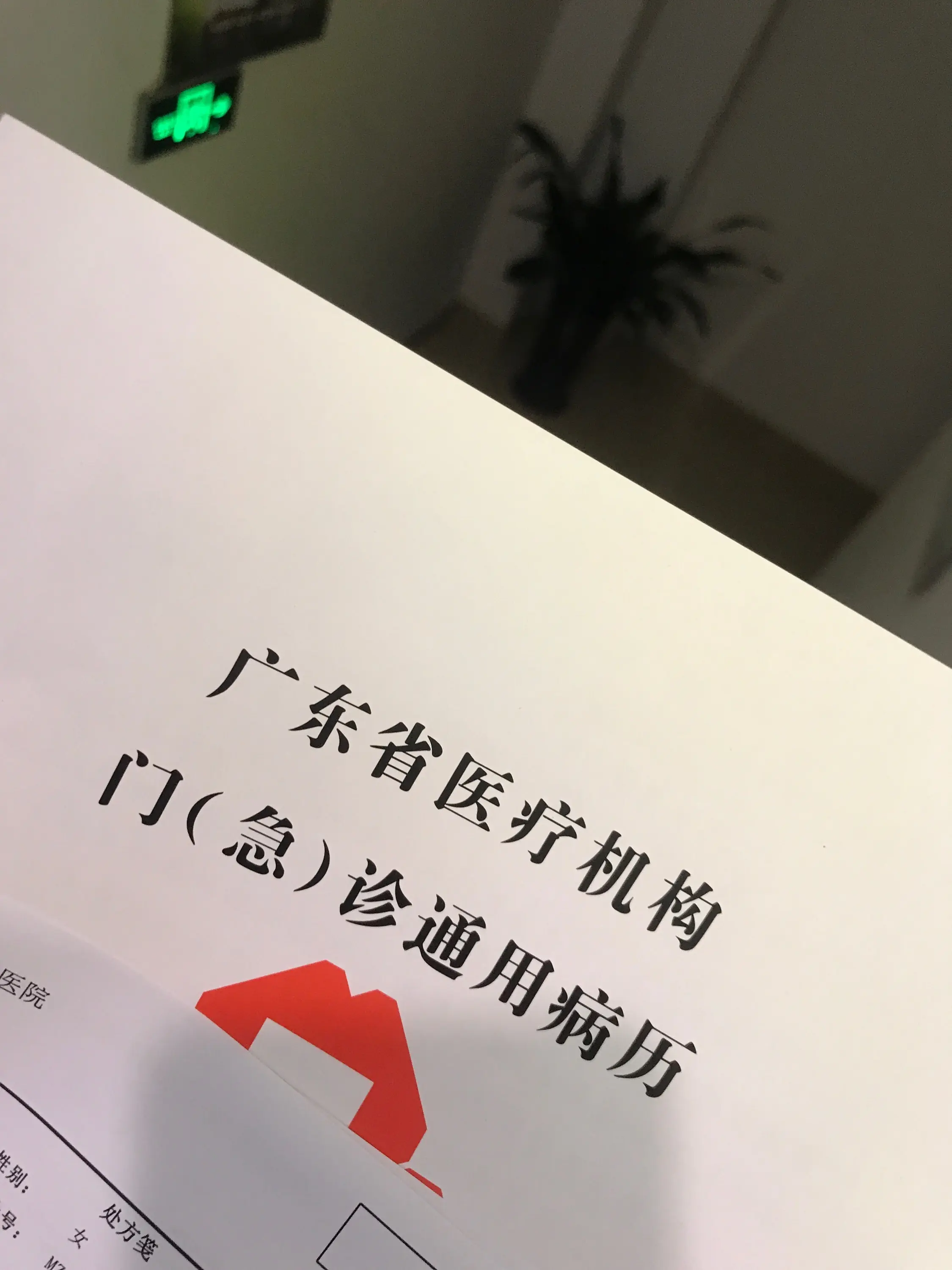 肉宝加加油的主播照片