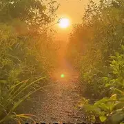 🌞轮椅感恩有你