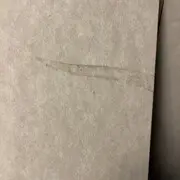 宝宝诚信第一