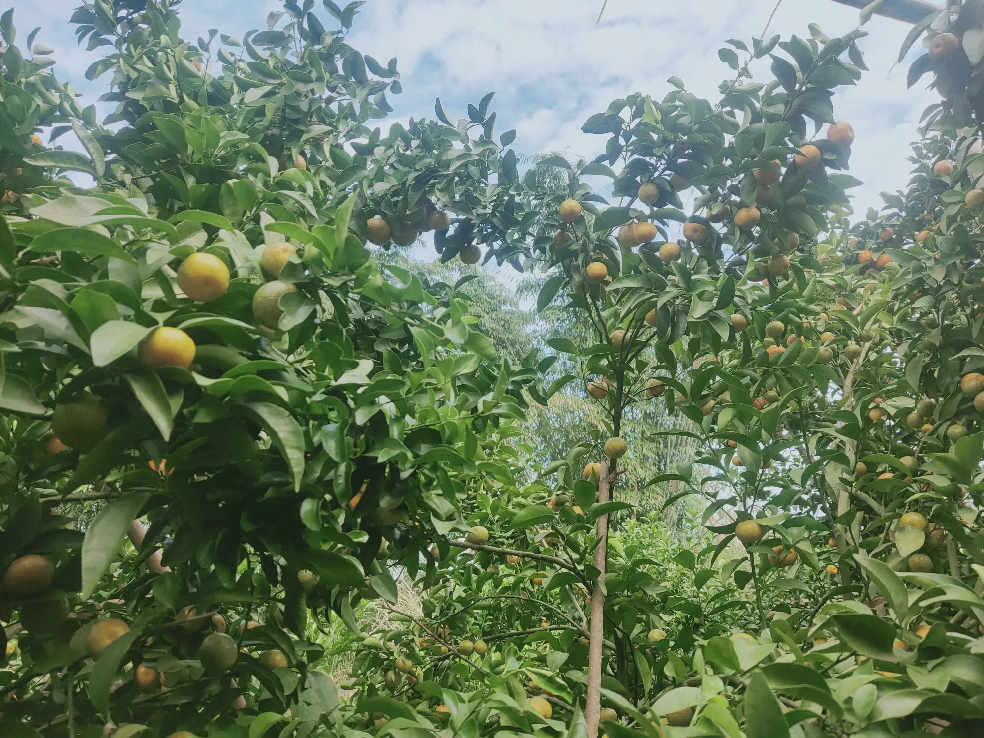 时光匆匆5566的主播照片