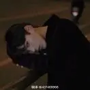 迩洳呲嫒莪