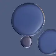 体面的说散就散