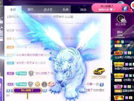 一只雁~的图片