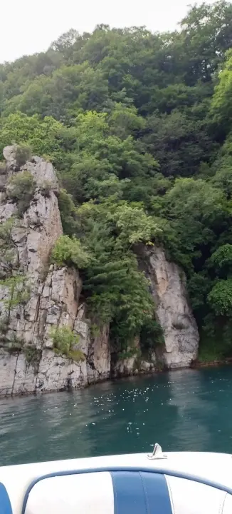 ╰つ✿紫se依恋的图片