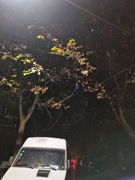 Wyth、迷糊ღ暂退主播照片