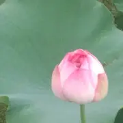 🤑选择失忆🤑