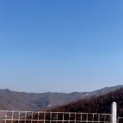活宝黑妮的用户头像