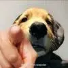 烟消云散!*