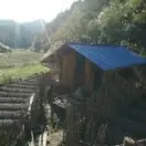 渐行渐远jv3