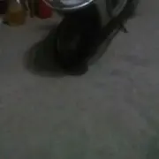 伯乐与知音