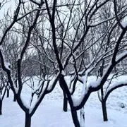 ぬ馨梦奇缘ぬ的用户头像