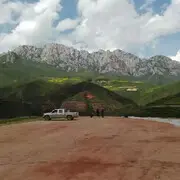 🎵未见🎶先来