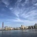 德杰b