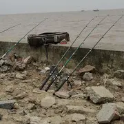 到访不遇