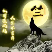 🐺大灰狼001🐺