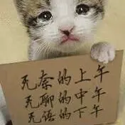 文大力