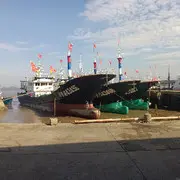 金木同